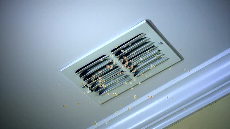 Ductwork Cleaning Services in Poipu, HI